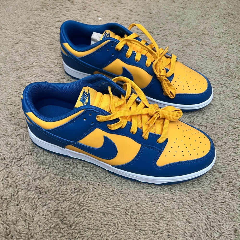 mens nike dunks BRAND NEW
